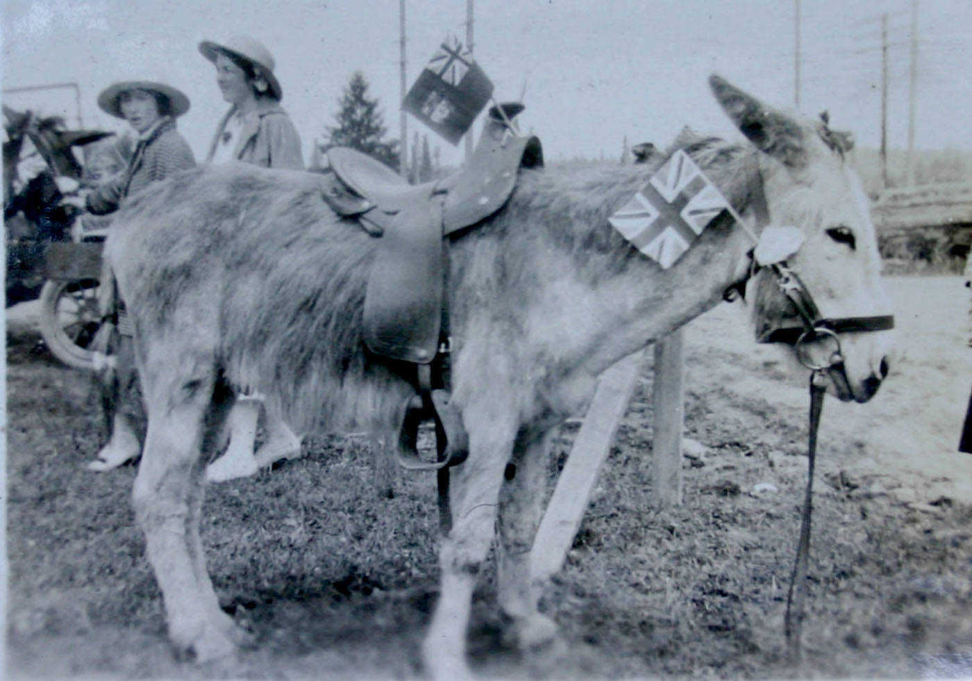 web1_170628-LAT-canadadaydonkey1