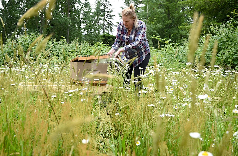 web1_170630-LAT-Arts-BeeKeeping_2