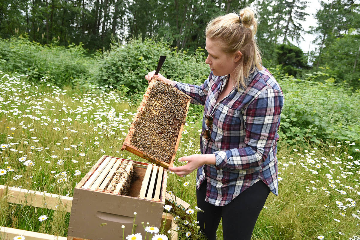 web1_170630-LAT-Arts-BeeKeeping_3