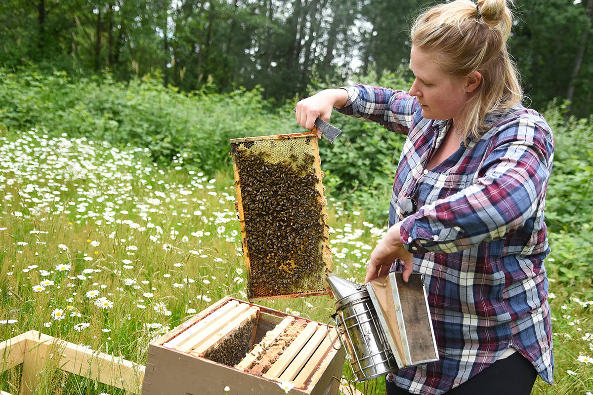 web1_170630-LAT-Arts-BeeKeeping_4