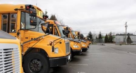web1_buses