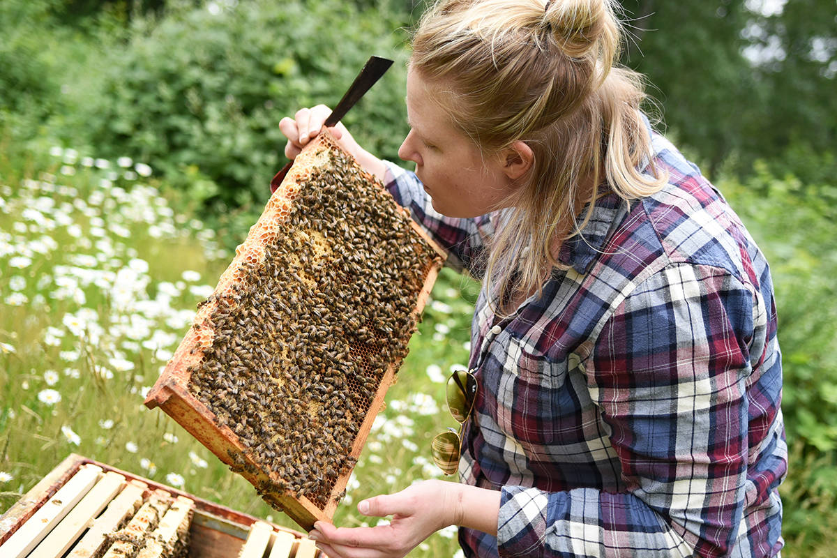 web1_copy_170630-LAT-Arts-BeeKeeping_1