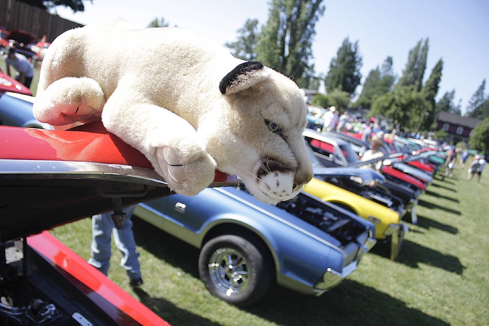 7559382_web1_copy_170702-LAT-car-show-Fordnutz-cougar