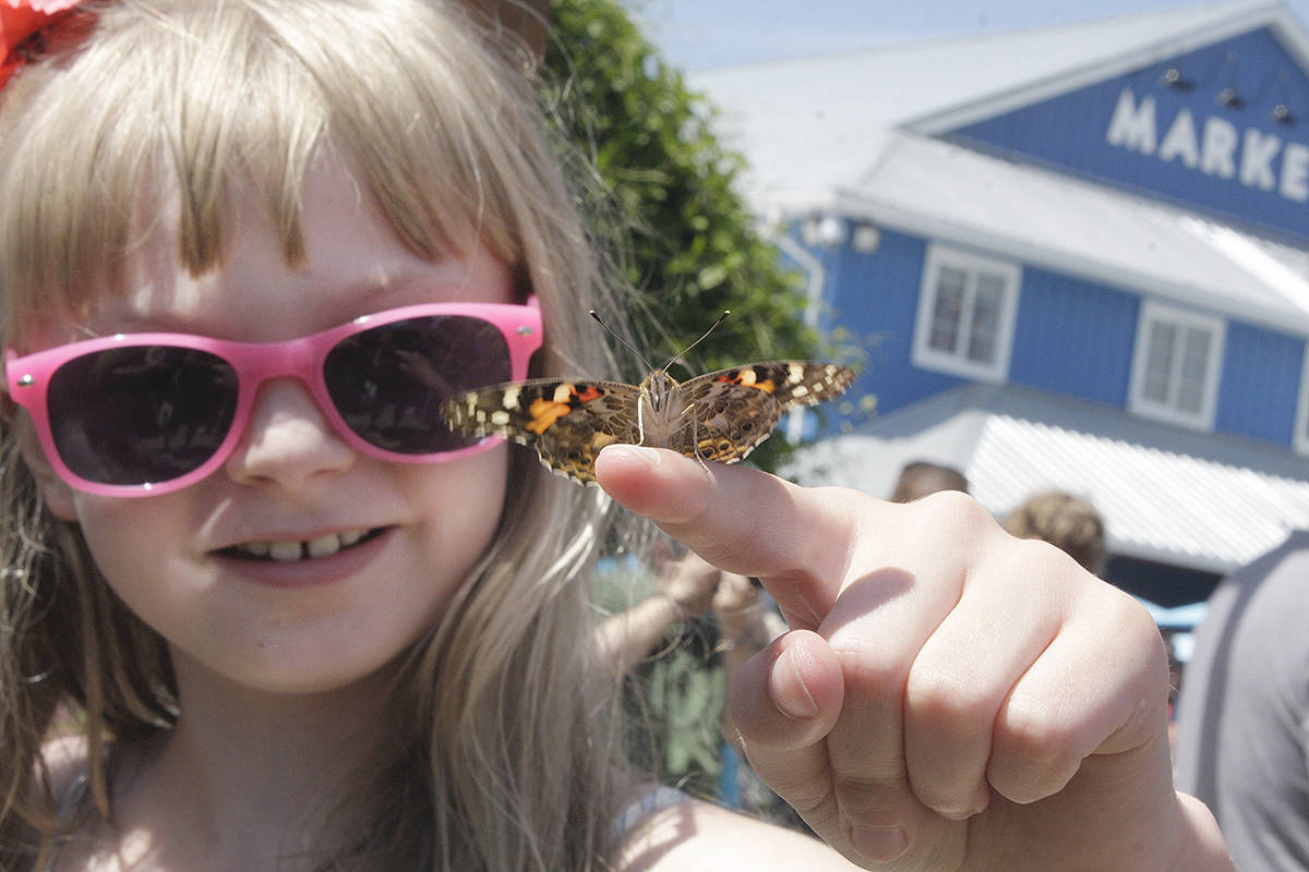 PHOTOS Big turnout for annual Langley butterfly release Langley