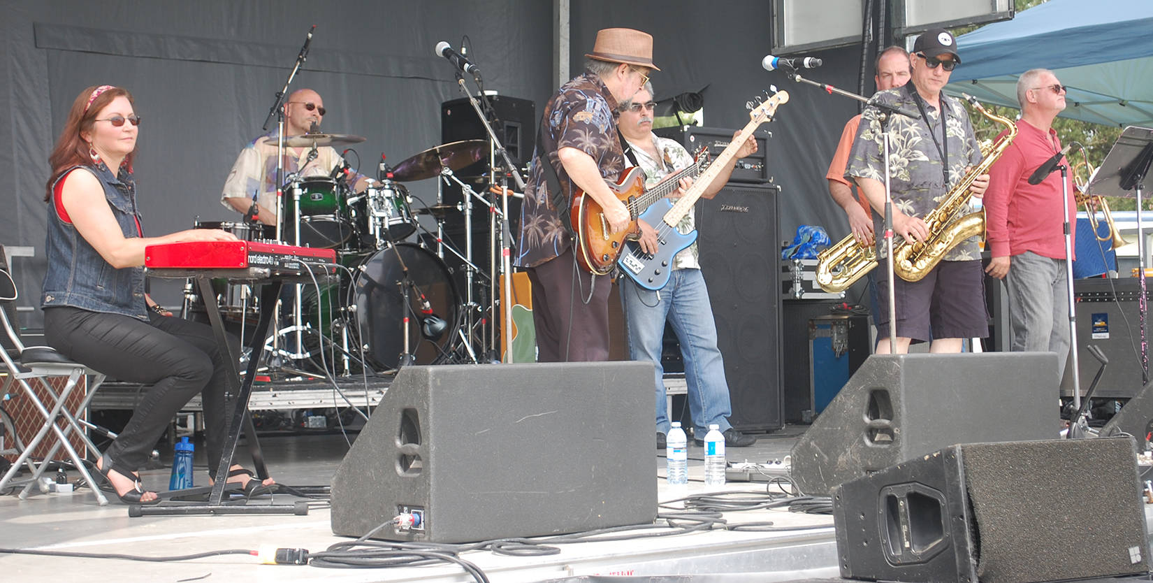 7648649_web1_FairBluesBand0023