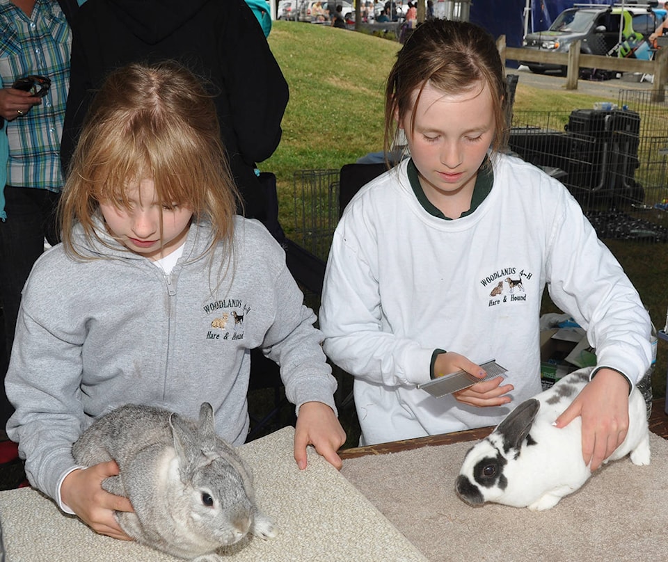 7649510_web1_Fair4Hbunnies7581