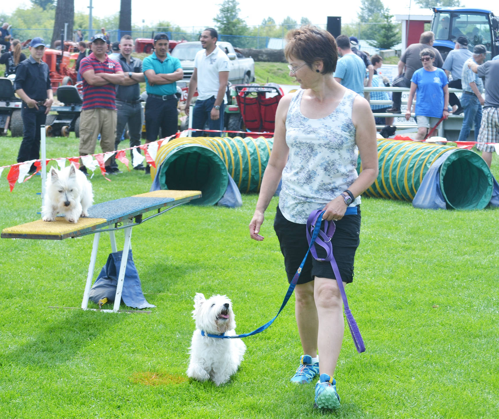 7649510_web1_FairDogAgility0012