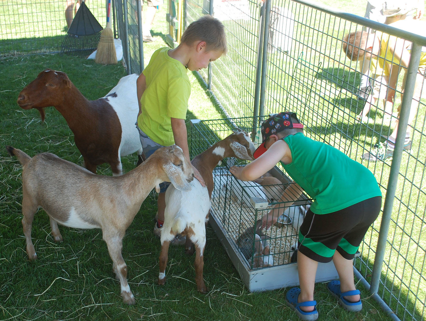7649510_web1_FairPettingZoo14