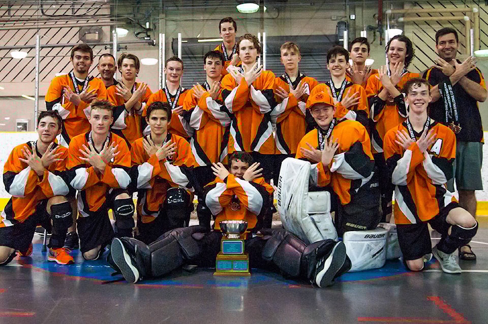 7805483_web1_170727-ALT-gold-ball-hockey_1