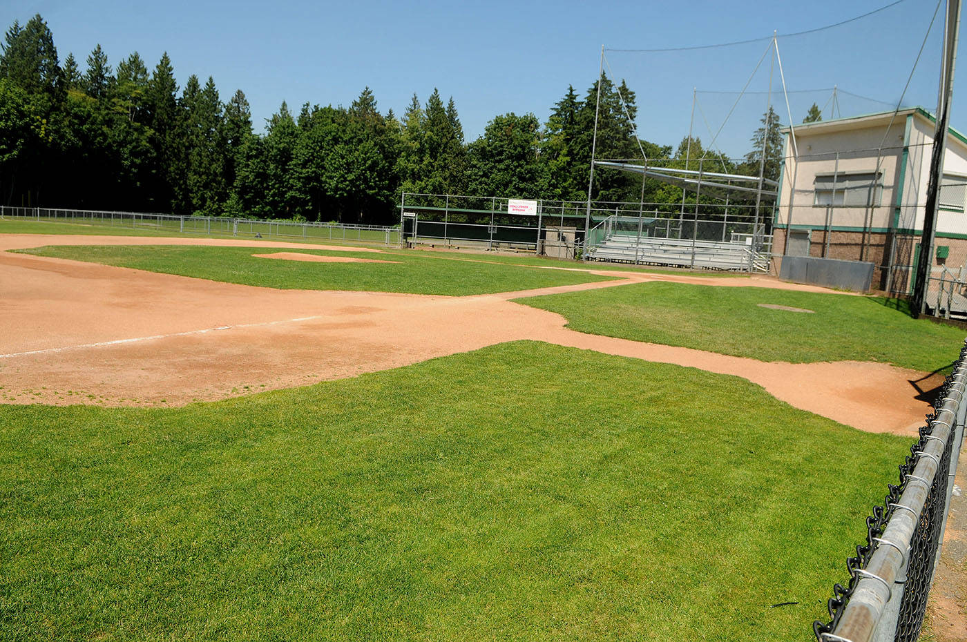 7865606_web1_0718_walnut-grove-george-zarrelli-diamond1