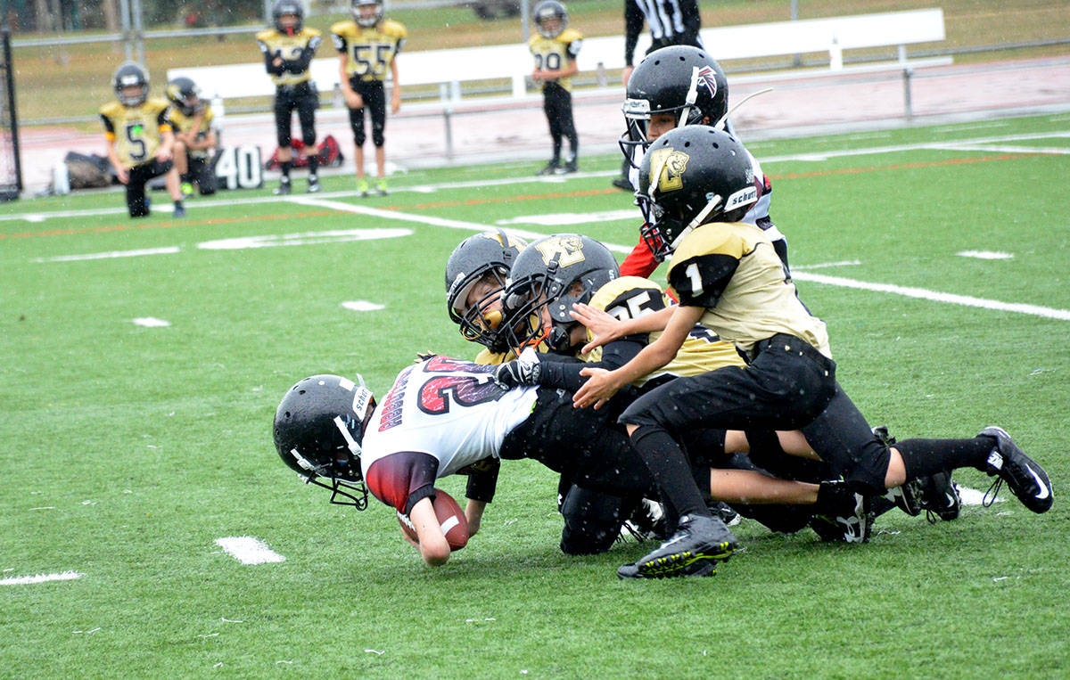 8511447_web1_170909-LAT-Sports-NLBears-Atom-football