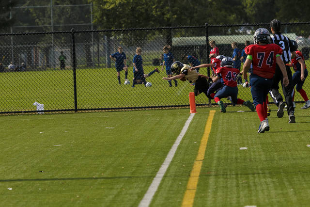 8700177_web1_Peewee_Touchdown