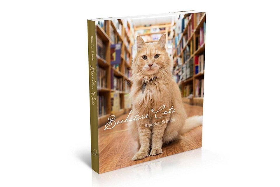 8722742_web1_8420222_web1_BookstoreCatsHORIZ-1200x800