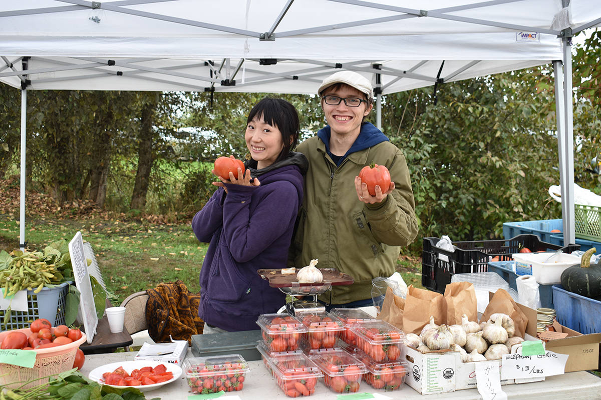 8723345_web1_171004-CLR-HarvestFestCoverage1