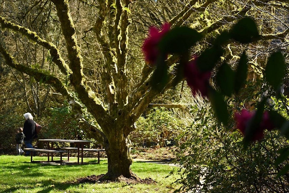 8725922_web1_170929-LAT-M-Trails-Sendall-Gardens