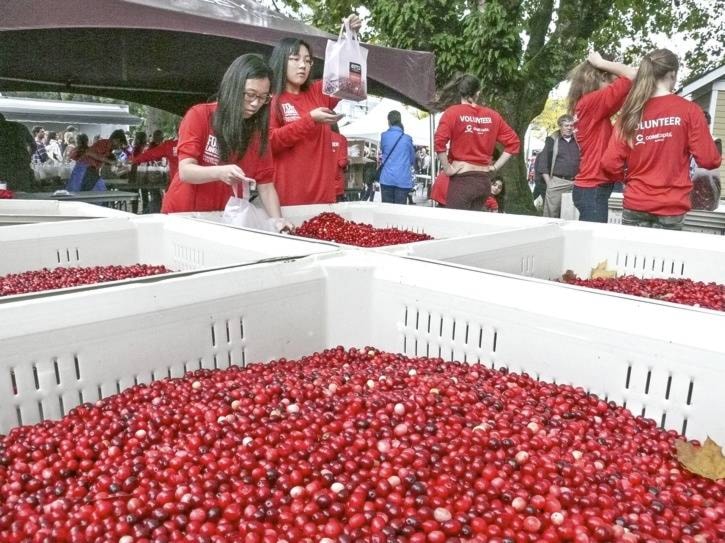 8750977_web1_copy_2016-LAT-Cranberryfestivalberrieswebversion
