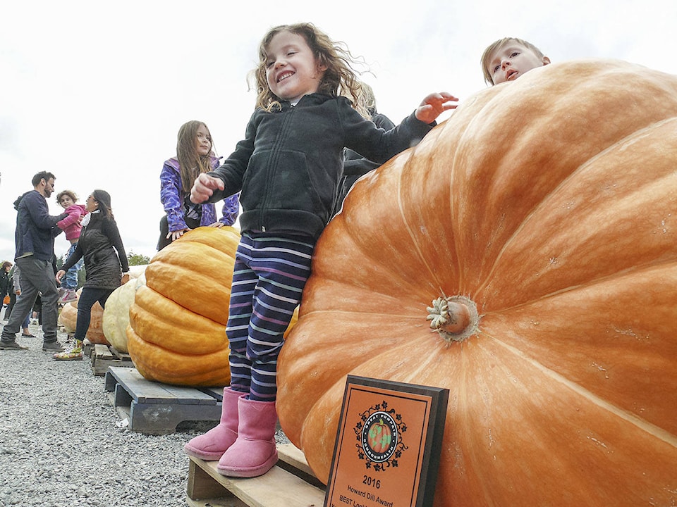 8818297_web1_171005-LAT-giantpumpkinweighoff