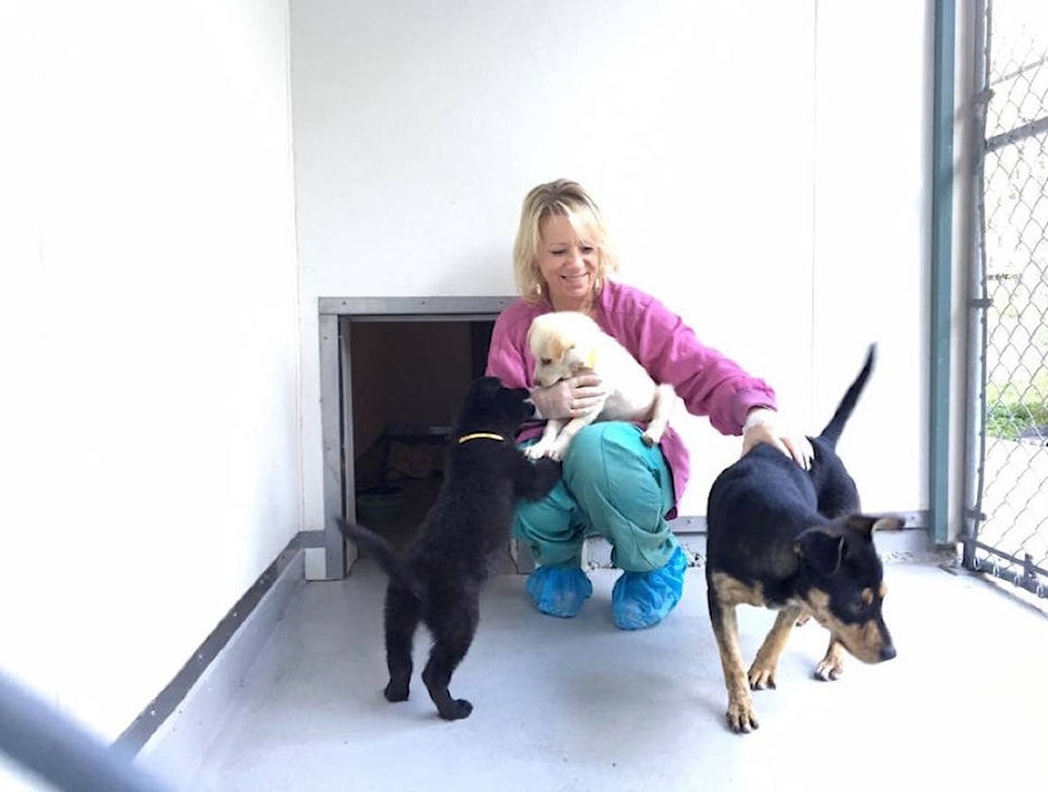 8879698_web1_copy_171010-LAT-M-171010-LAT-Jayne-with-pups