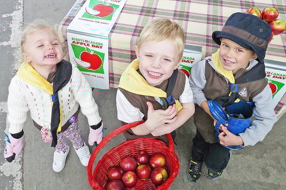 8936324_web1_171015-LAT-apples-for-scouts-at-Otter