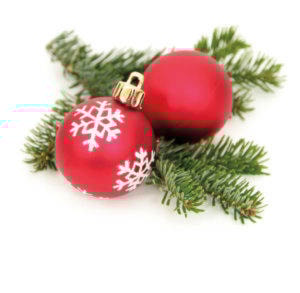 9247252_web1_Charity-Shopping-Night-Ornament-Image