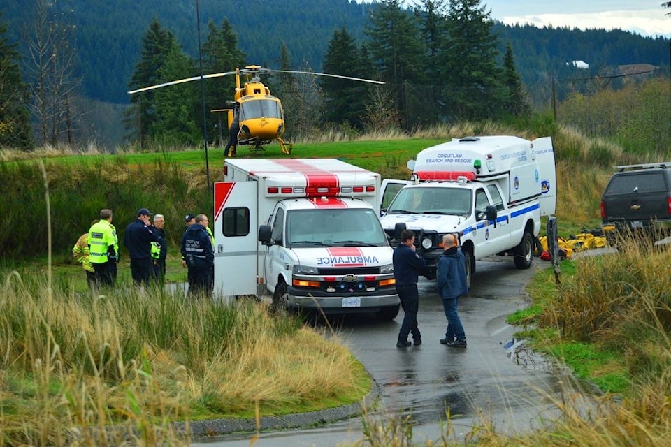 9508913_web1_171122-BPD-M-coquitlam-dog-walker-1437