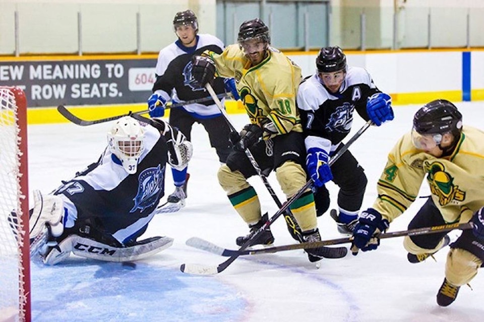 9540427_web1_171126-SNW-M-85949surreynowSurreyKnights_file