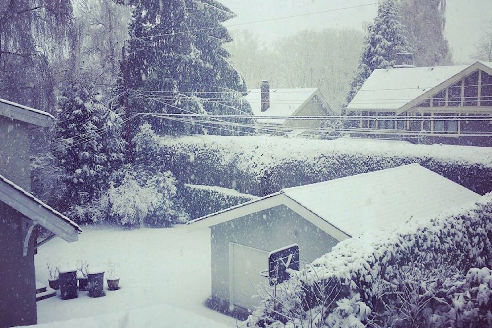 9890307_web1_171220-BPD-M-snow-DavidKuo-twitter