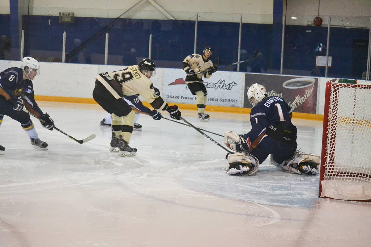 9989261_web1_180104-ALT-Kodiaks-Hawks_7