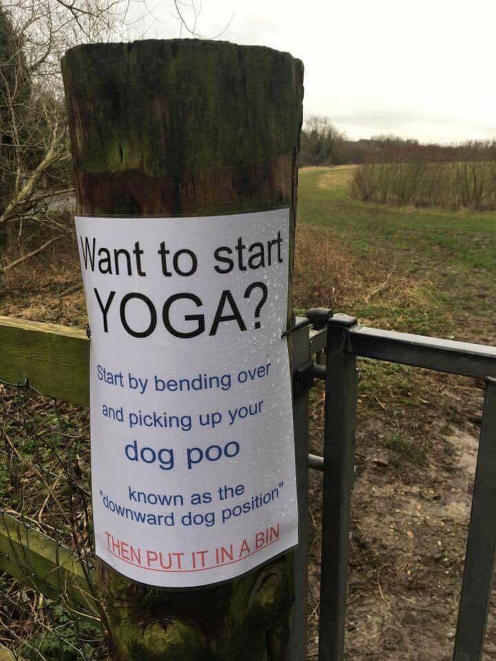 10387441_web1_Dog-poop-sign-Yoga