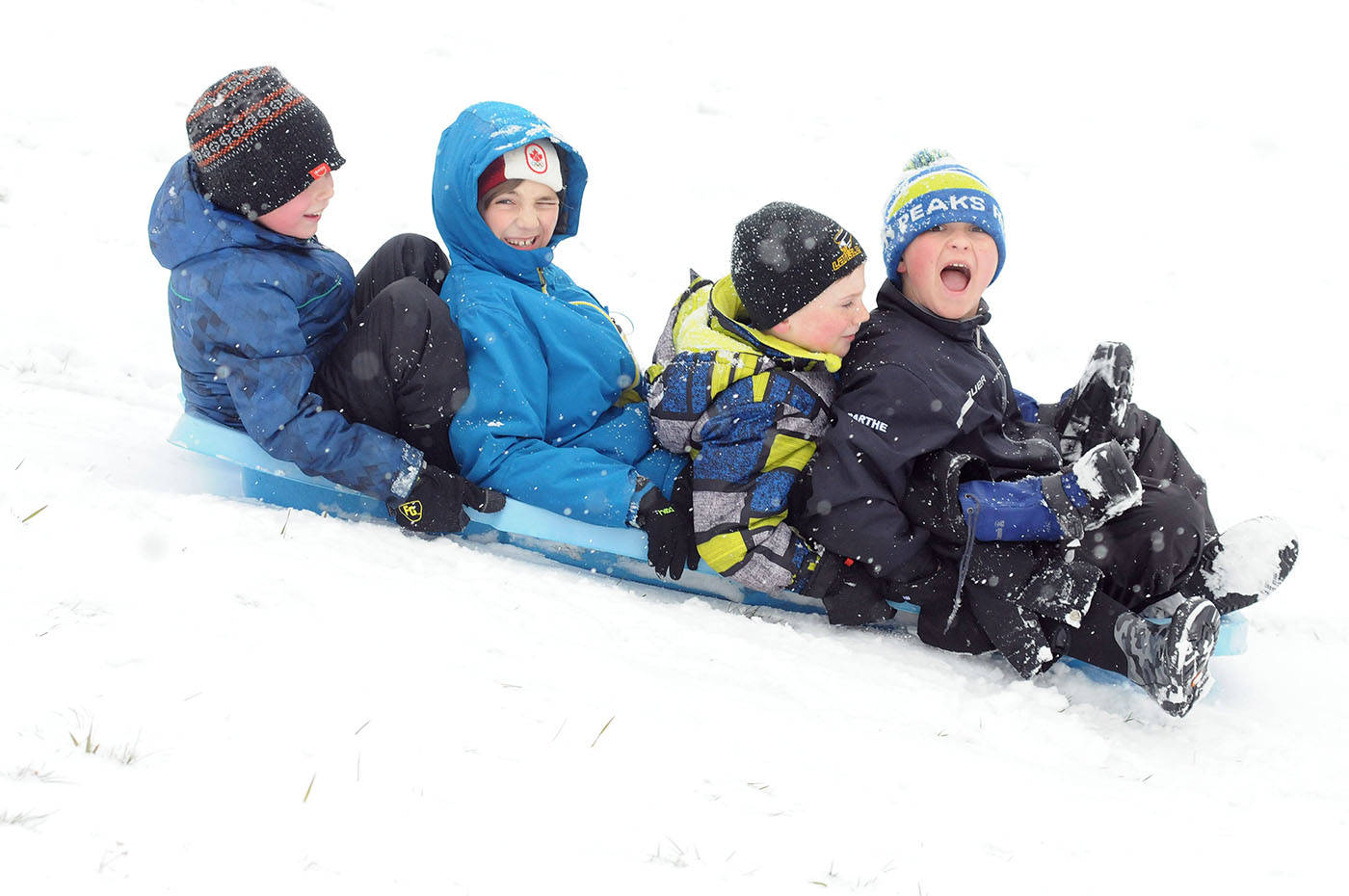 10755471_web1_180223-LAT-snowsledding2