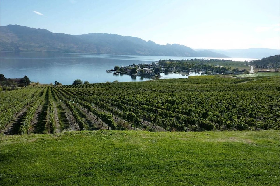 11565690_web1_180423-BPD-M-Kelowna_Vineyard_overlooking_Okanagan_Lake