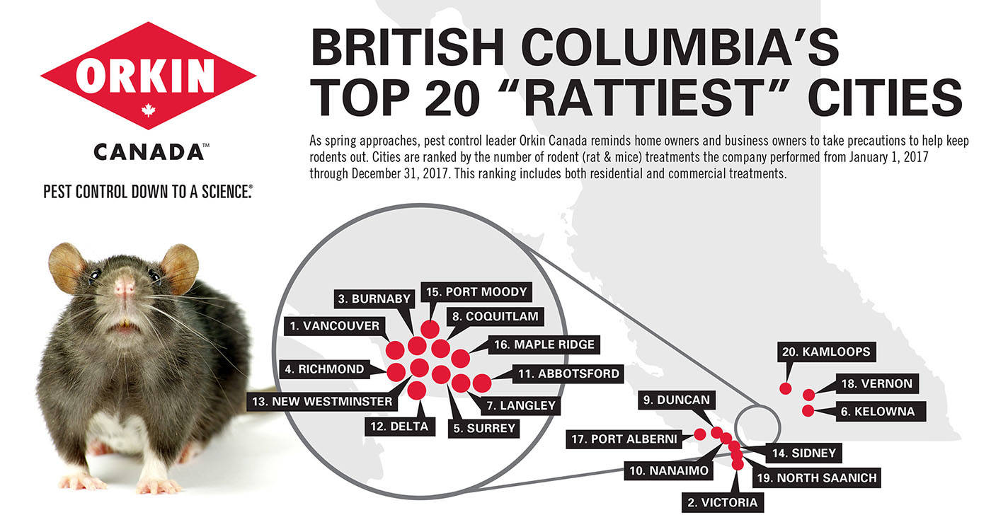 11630651_web1_OC-Rattiest-BC-cities-infographic-2018