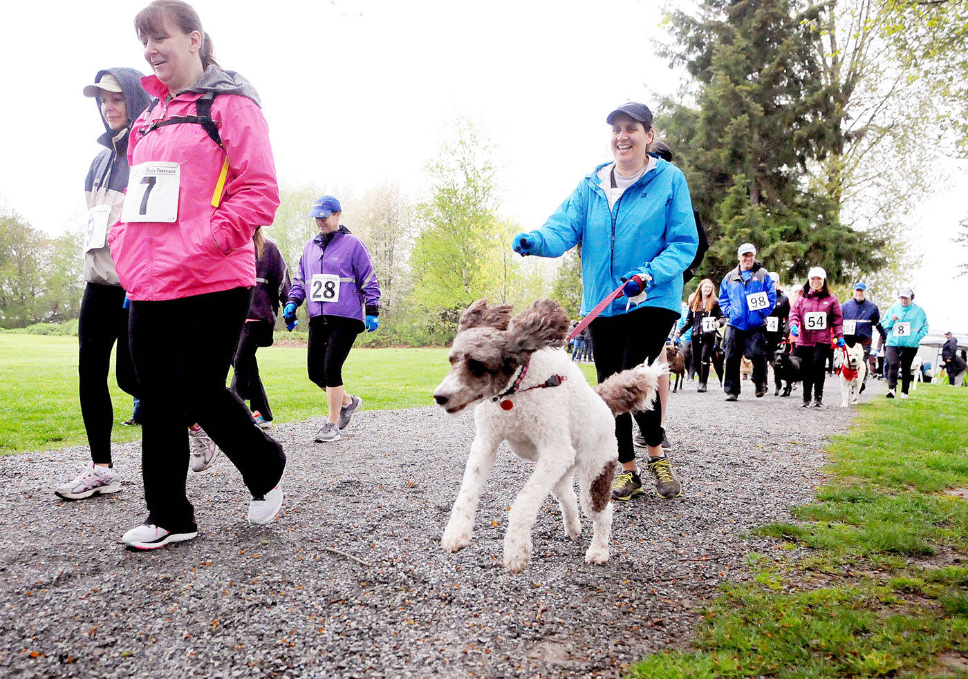 11660909_web1_180502-LAT-furrytailsfootrace1