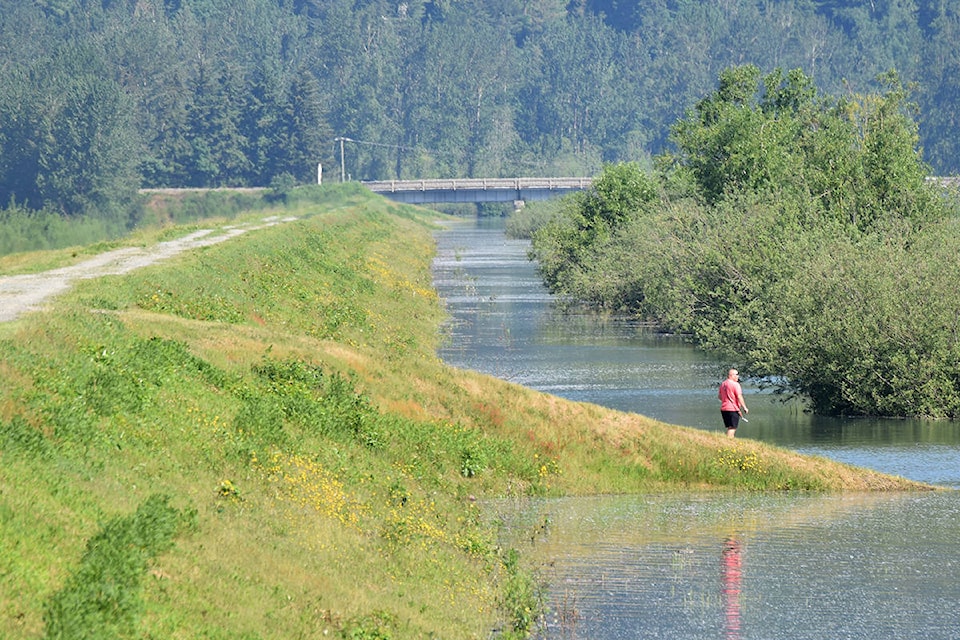 12043064_web1_Vedder-dike3a