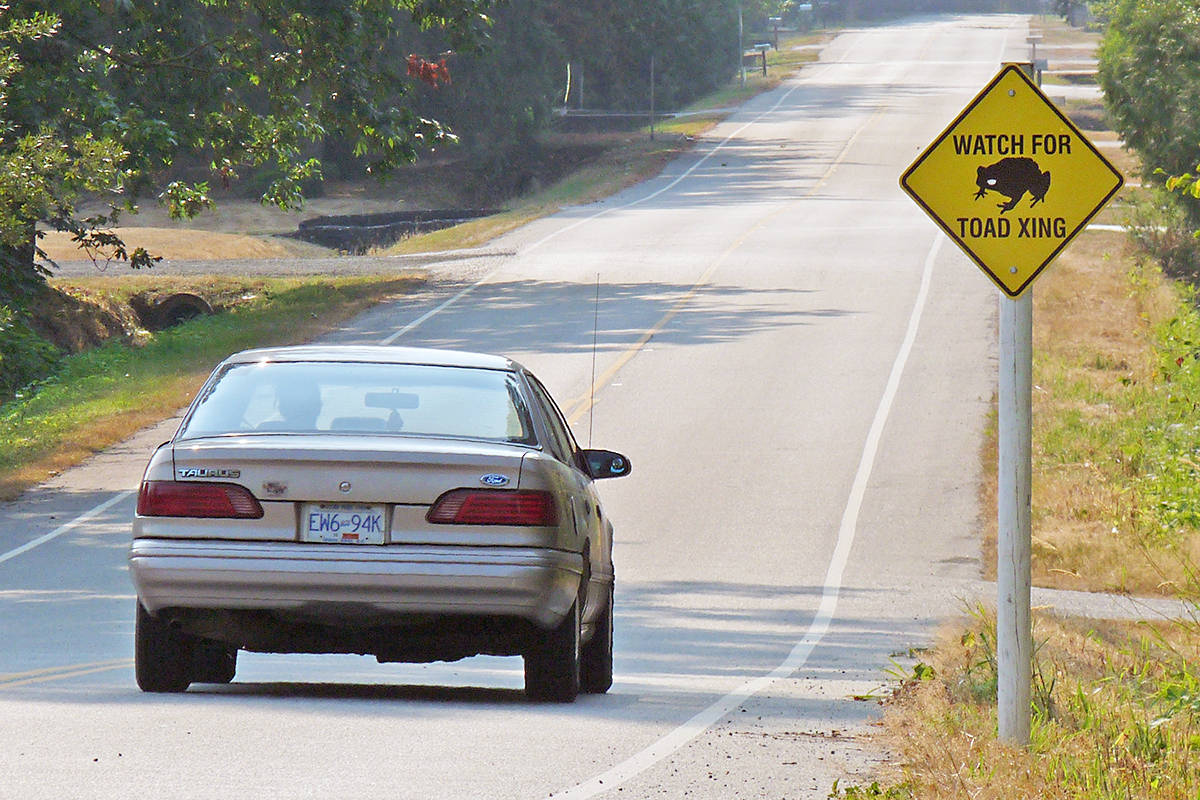 12944971_web1_180731-LAT-Toad-crossing-sign-2