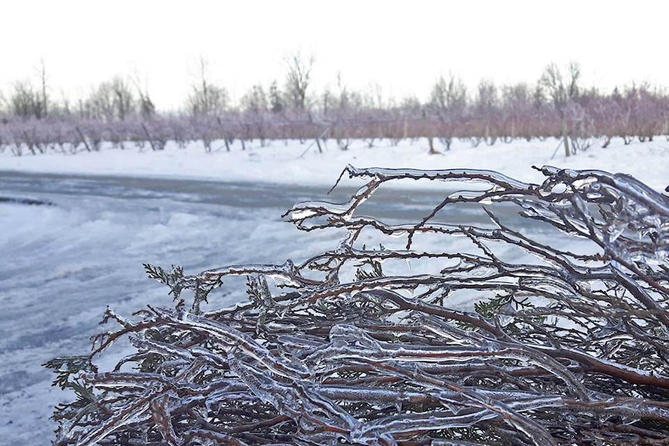 12994870_web1_180802-LAT-ice-storm-file
