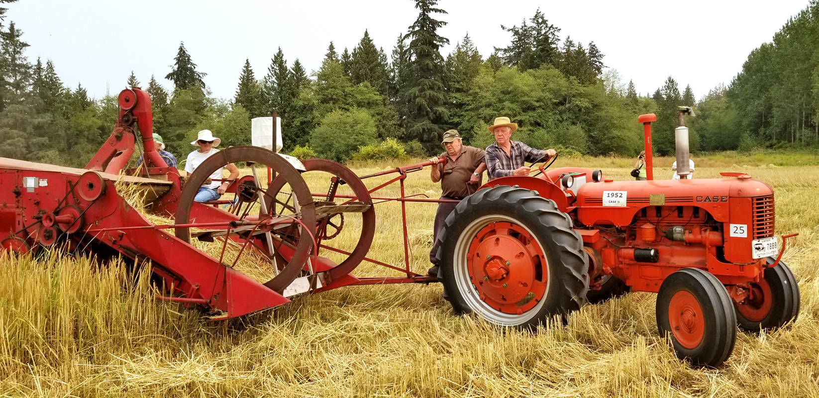 13179804_web1_180822-LAT-Threshing-Bee-2_8