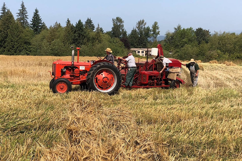 13179804_web1_180822-LAT-Threshing-Bee_5