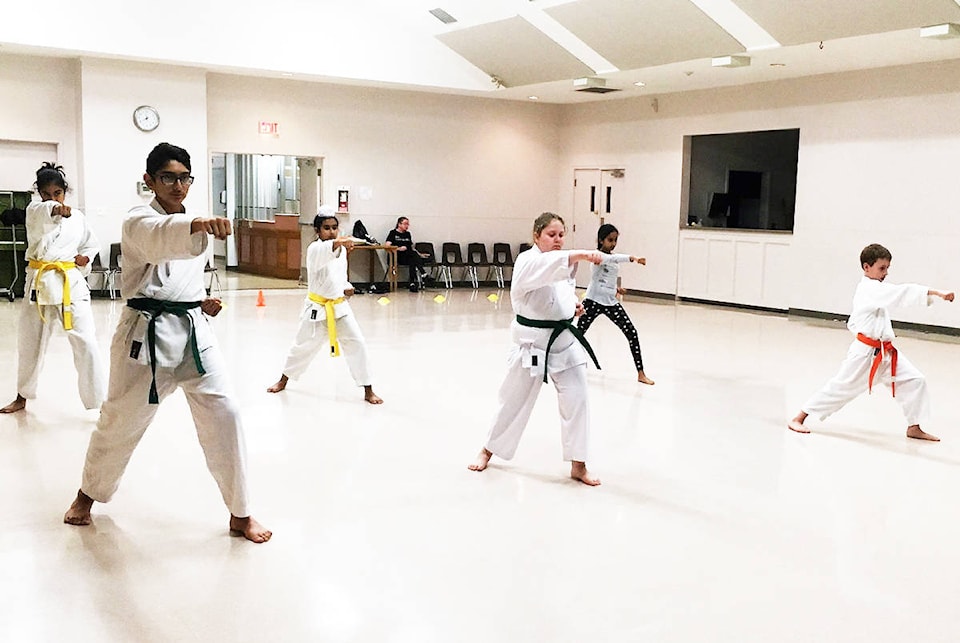 13813490_web1_181011-ALT-Aldergrove-karate_2