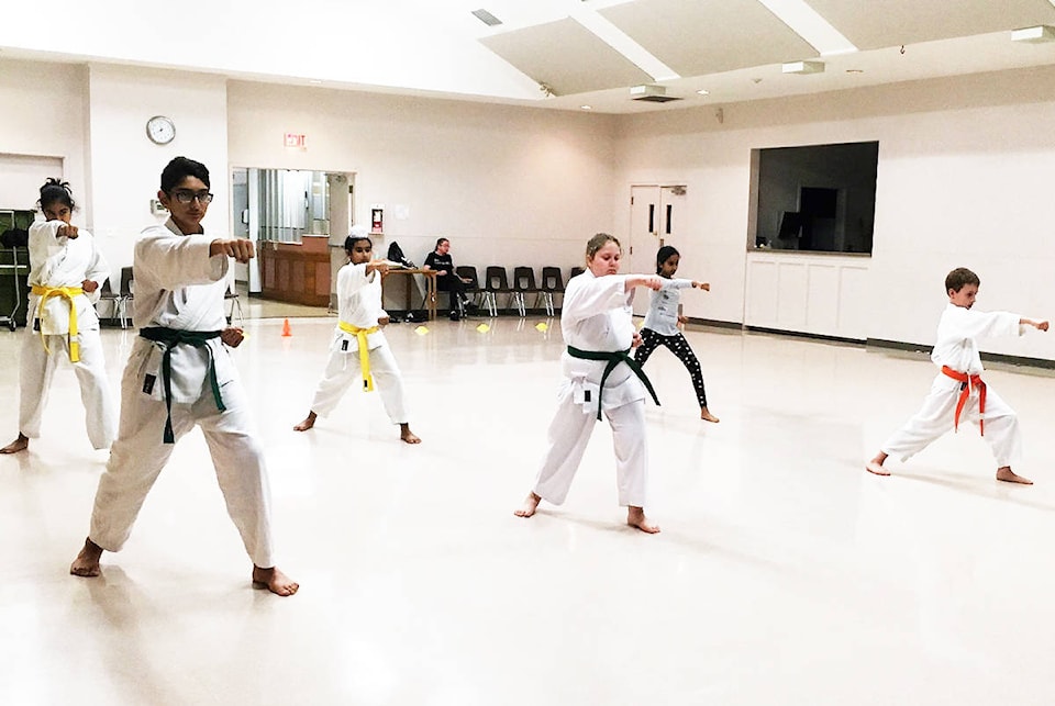 13813490_web1_181011-ALT-Aldergrove-karate_2