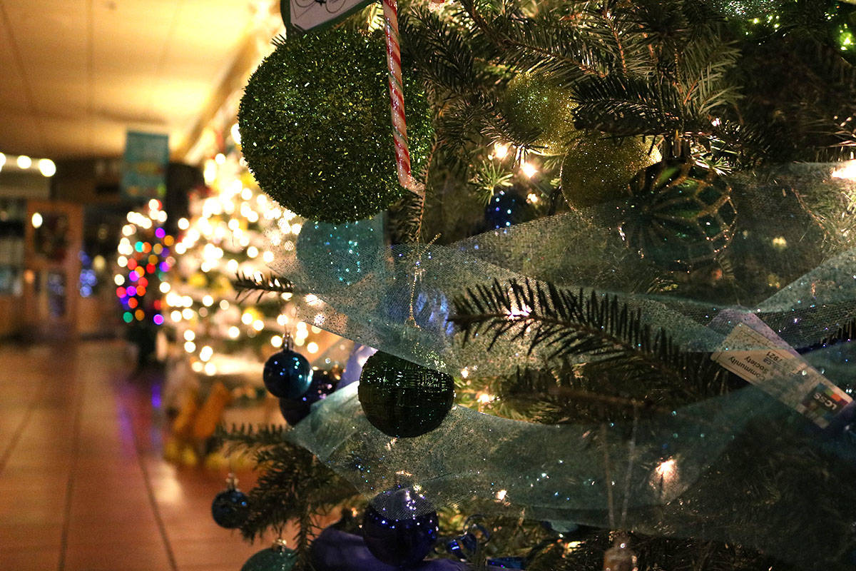 14470132_web1_tree4