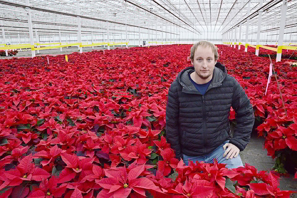 14570462_web1_181127-LAD-Greenhouse2