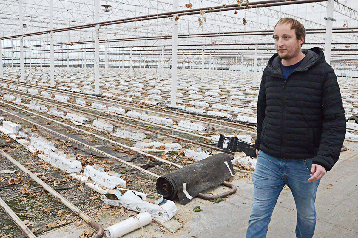14570462_web1_181127-LAD-Greenhouse3