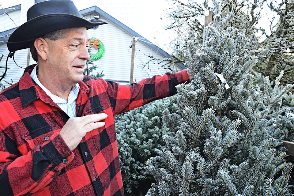 14629804_web1_181203-LAT-XmasTrees