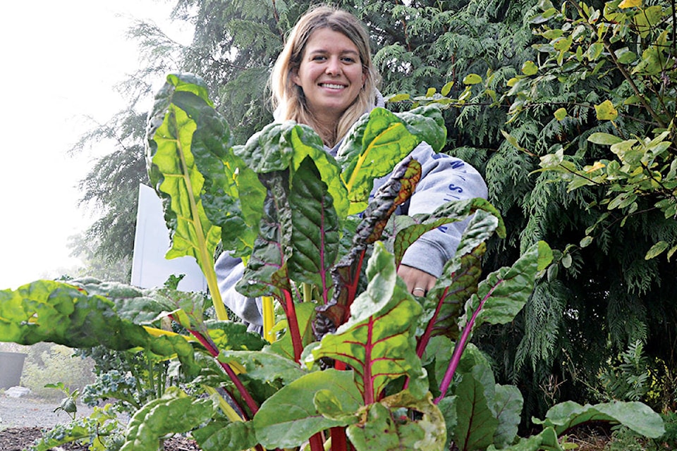 13294566_web1_180827-LAD-CommunityGarden