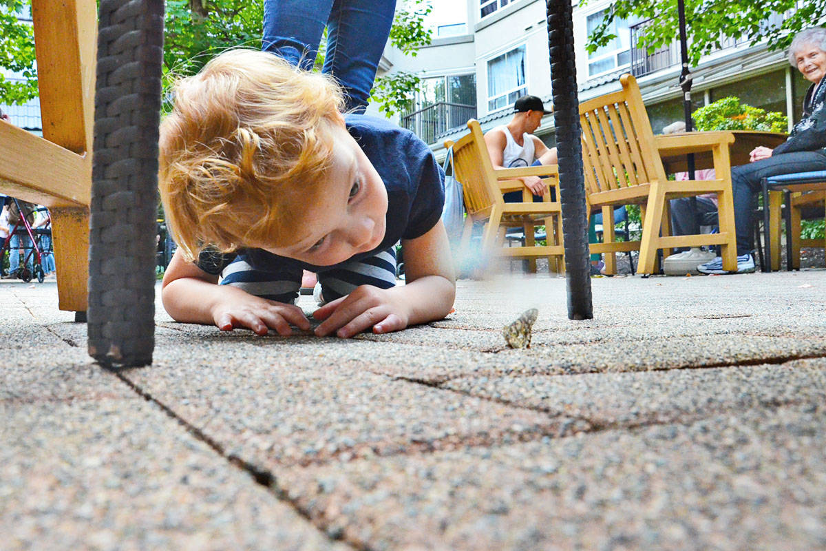 13365551_web1_180830-LAD-ButterflyRelease_5