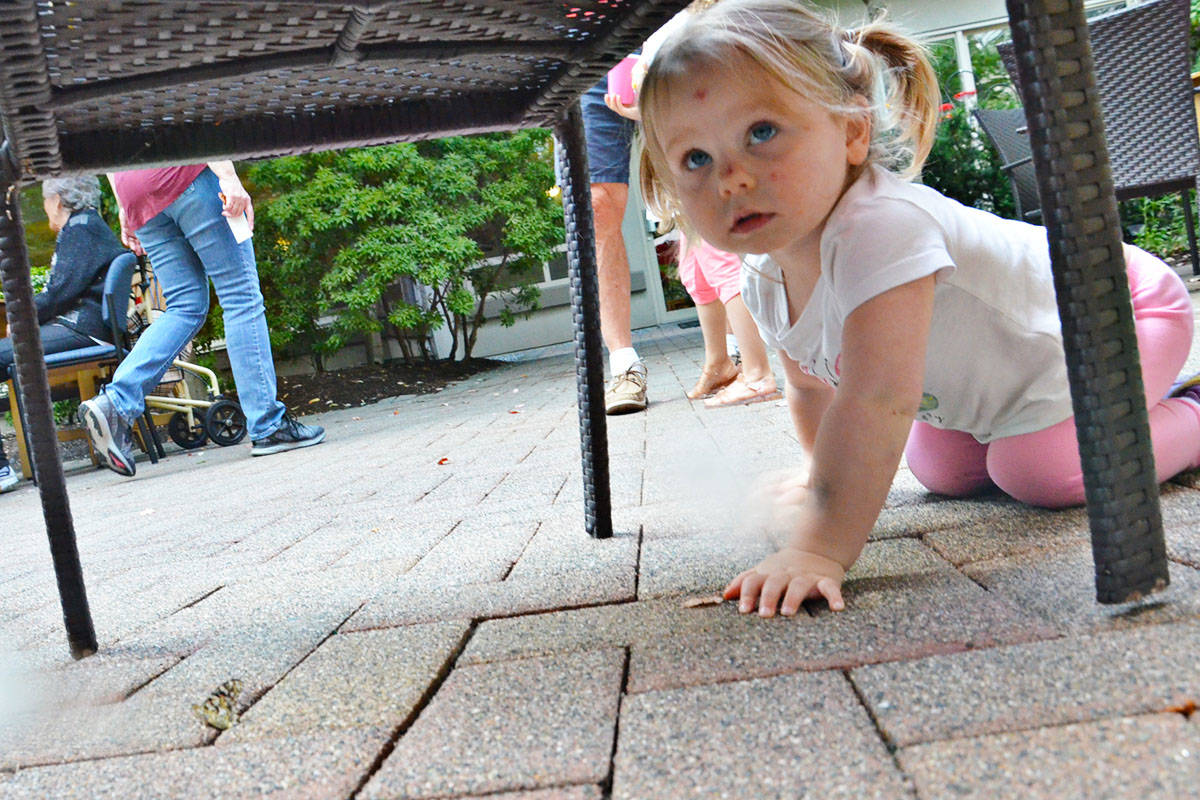 13365551_web1_180830-LAD-ButterflyRelease_6