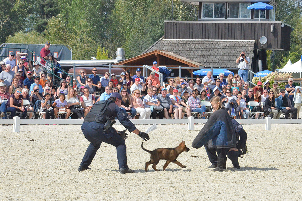 13387458_web1_180901-LAD-RCMPMusicalRide_2