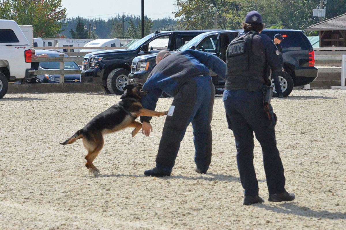 13387458_web1_180901-LAD-RCMPMusicalRide_4