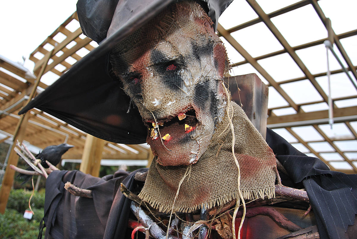 13639419_web1_Scarecrow1